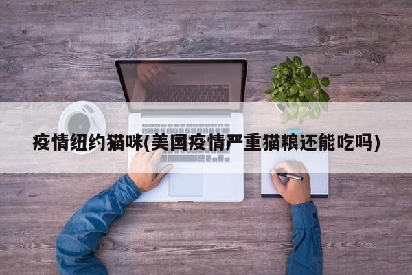 疫情纽约猫咪(美国疫情严重猫粮还能吃吗)